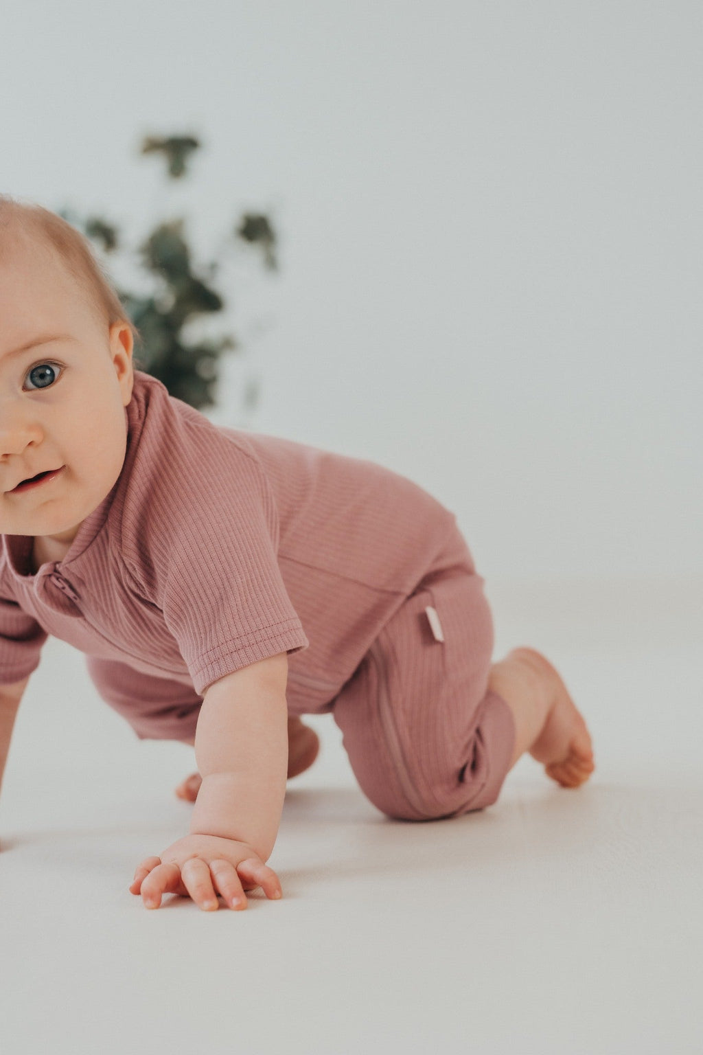 Short Sleeved Baby Romper GRAY